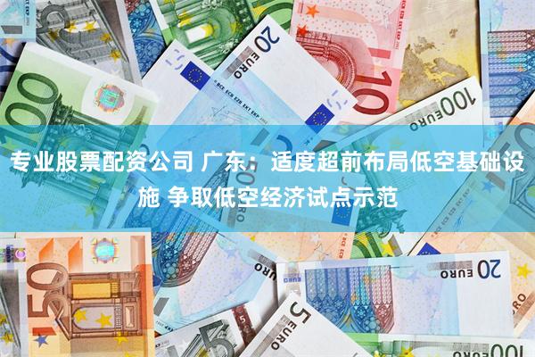   专业股票配资公司 广东：适度超前布局低空基础设施 争取低空经济试点示范