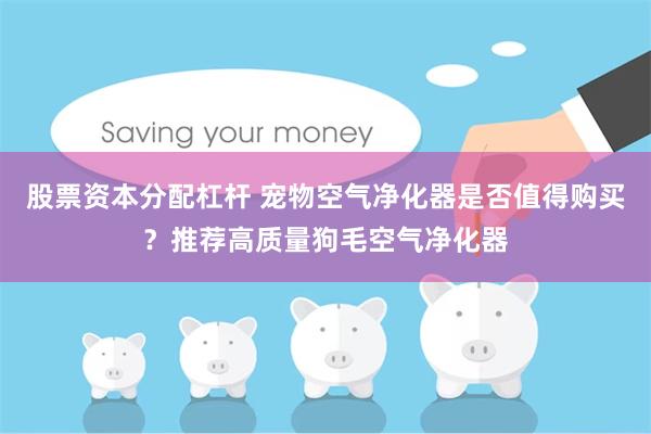 股票资本分配杠杆 宠物空气净化器是否值得购买？推荐高质量狗毛空气净化器