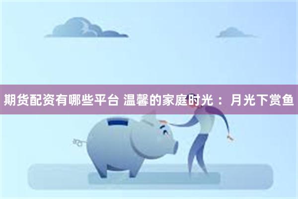   期货配资有哪些平台 温馨的家庭时光 ：月光下赏鱼