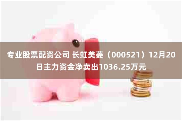   专业股票配资公司 长虹美菱（000521）12月20日主力资金净卖出1036.25万元