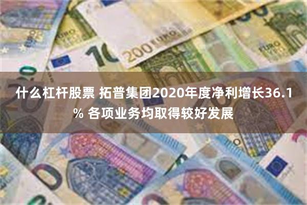 什么杠杆股票 拓普集团2020年度净利增长36.1% 各项业务均取得较好发展