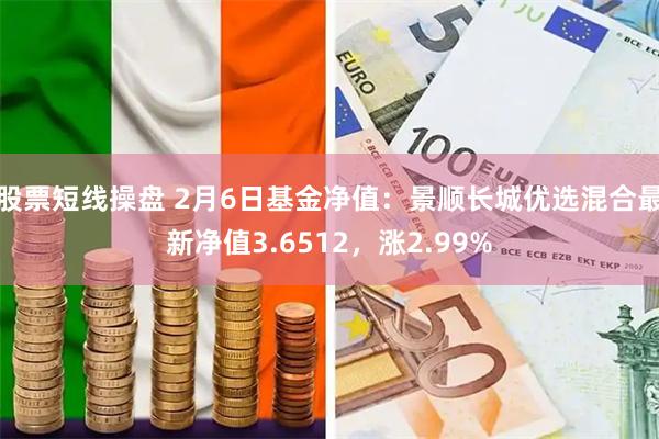   股票短线操盘 2月6日基金净值：景顺长城优选混合最新净值3.6512，涨2.99%