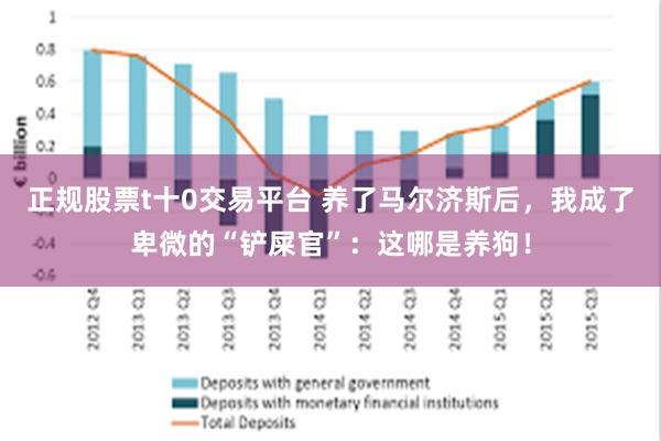 正规股票t十0交易平台 养了马尔济斯后，我成了卑微的“铲屎官”：这哪是养狗！
