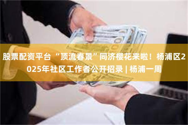 股票配资平台 “顶流春景”同济樱花来啦！杨浦区2025年社区工作者公开招录 | 杨浦一周
