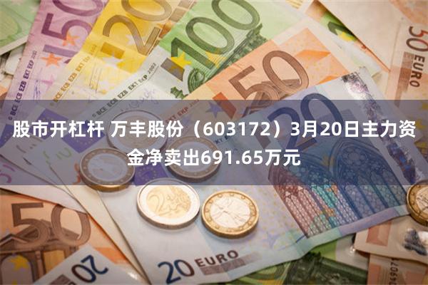 股市开杠杆 万丰股份（603172）3月20日主力资金净卖出