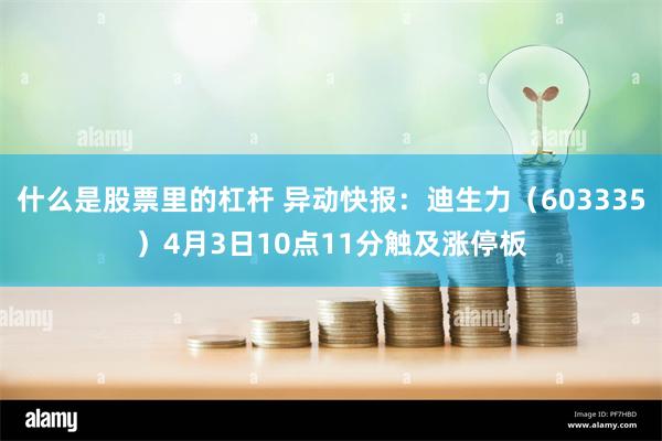 什么是股票里的杠杆 异动快报：迪生力（603335）4月3日10点11分触及涨停板