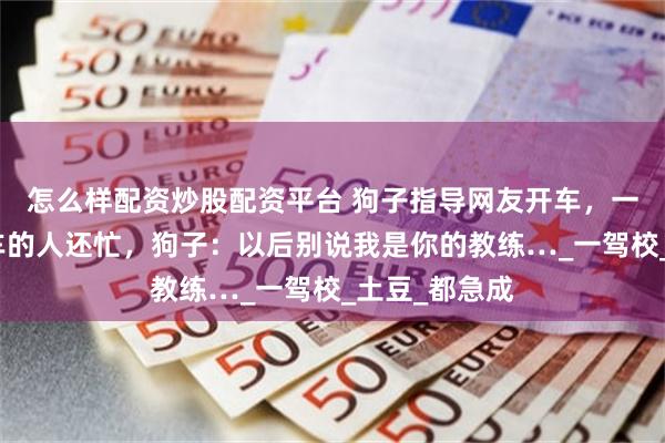 怎么样配资炒股配资平台 狗子指导网友开车，一番操作比开车的人