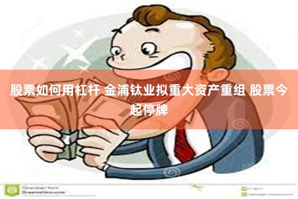   股票如何用杠杆 金浦钛业拟重大资产重组 股票今起停牌