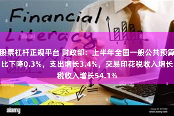 股票杠杆正规平台 财政部：上半年全国一般公共预算收入同比下降0.3%，支出增长3.4%，交易印花税收入增长54.1%