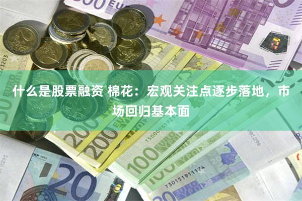 什么是股票融资 棉花：宏观关注点逐步落地，市场回归基本面