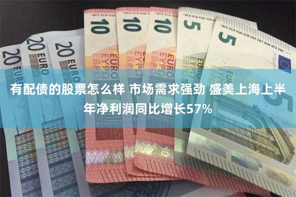有配债的股票怎么样 市场需求强劲 盛美上海上半年净利润同比增