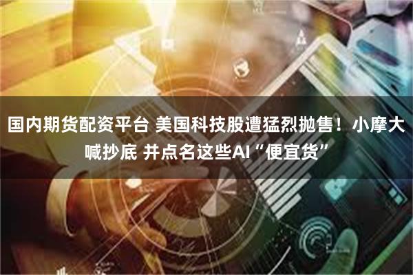 国内期货配资平台 美国科技股遭猛烈抛售!小摩大喊抄底 并点名这些AI“便宜货”